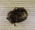  ( - SPEC#4416)  @11 [ ] CreativeCommons  Attribution Non-Commercial Share-Alike  (2024) Unspecified Princeton University