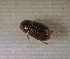  ( - SPEC#4932)  @11 [ ] CreativeCommons  Attribution Non-Commercial Share-Alike  (2024) Unspecified Princeton University