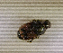  ( - SPEC#5053)  @11 [ ] CreativeCommons  Attribution Non-Commercial Share-Alike  (2024) Unspecified Princeton University