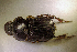  ( - SPEC#5324)  @11 [ ] CreativeCommons  Attribution Non-Commercial Share-Alike  (2024) Unspecified Princeton University