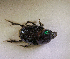  ( - SPEC#5440)  @11 [ ] CreativeCommons  Attribution Non-Commercial Share-Alike  (2024) Unspecified Princeton University