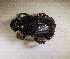  ( - SPEC#5539)  @11 [ ] CreativeCommons  Attribution Non-Commercial Share-Alike  (2024) Unspecified Princeton University
