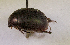  ( - SPEC#5719)  @11 [ ] CreativeCommons  Attribution Non-Commercial Share-Alike  (2024) Unspecified Princeton University