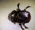  ( - SPEC#5760)  @11 [ ] CreativeCommons  Attribution Non-Commercial Share-Alike  (2024) Unspecified Princeton University
