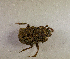  ( - SPEC#5891)  @11 [ ] CreativeCommons  Attribution Non-Commercial Share-Alike  (2024) Unspecified Princeton University