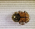  ( - SPEC#6238)  @11 [ ] CreativeCommons  Attribution Non-Commercial Share-Alike  (2024) Unspecified Princeton University