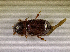  ( - SPEC#6427)  @11 [ ] CreativeCommons  Attribution Non-Commercial Share-Alike  (2024) Unspecified Princeton University