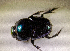  ( - SPEC#6440)  @11 [ ] CreativeCommons  Attribution Non-Commercial Share-Alike  (2024) Unspecified Princeton University