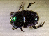  ( - SPEC#6477)  @11 [ ] CreativeCommons  Attribution Non-Commercial Share-Alike  (2024) Unspecified Princeton University