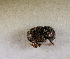  ( - SPEC#6574)  @11 [ ] CreativeCommons  Attribution Non-Commercial Share-Alike  (2024) Unspecified Princeton University