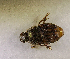  ( - SPEC#6598)  @11 [ ] CreativeCommons  Attribution Non-Commercial Share-Alike  (2024) Unspecified Princeton University