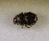  ( - SPEC#6656)  @11 [ ] CreativeCommons  Attribution Non-Commercial Share-Alike  (2024) Unspecified Princeton University