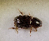  ( - SPEC#7117)  @11 [ ] CreativeCommons  Attribution Non-Commercial Share-Alike  (2024) Unspecified Princeton University