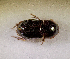  ( - SPEC#7122)  @11 [ ] CreativeCommons  Attribution Non-Commercial Share-Alike  (2024) Unspecified Princeton University