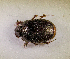  ( - SPEC#7654)  @11 [ ] CreativeCommons  Attribution Non-Commercial Share-Alike  (2024) Unspecified Princeton University
