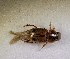  ( - SPEC#7928)  @11 [ ] CreativeCommons  Attribution Non-Commercial Share-Alike  (2024) Unspecified Princeton University