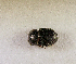  (Onthophagus simplex - SPEC#8034)  @11 [ ] CreativeCommons  Attribution Non-Commercial Share-Alike  (2024) Unspecified Princeton University