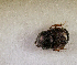  ( - SPEC#8040)  @11 [ ] CreativeCommons  Attribution Non-Commercial Share-Alike  (2024) Unspecified Princeton University