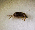  ( - SPEC#8137)  @11 [ ] CreativeCommons  Attribution Non-Commercial Share-Alike  (2024) Unspecified Princeton University