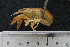  ( - kmMR2)  @12 [ ] CreativeCommons - Attribution Non-Commercial Share-Alike (2015) Kevin Morey University of Guelph