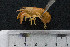  ( - kmMR8)  @12 [ ] CreativeCommons - Attribution Non-Commercial Share-Alike (2015) Kevin Morey University of Guelph