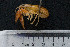  ( - kmMR9)  @13 [ ] CreativeCommons - Attribution Non-Commercial Share-Alike (2015) Kevin Morey University of Guelph