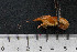  ( - kmGRI4)  @12 [ ] CreativeCommons - Attribution Non-Commercial Share-Alike (2015) Kevin Morey University of Guelph