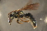  ( - BAW013)  @13 [ ] CreativeCommons - Attribution Non-Commercial Share-Alike (2012) Scott Groom Flinders University