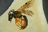  ( - MSAPB_CBB001)  @12 [ ] CreativeCommons - Attribution Non-Commercial Share-Alike (2011) Scott Groom Flinders University