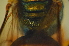  ( - MSAPB_CBD008)  @12 [ ] CreativeCommons - Attribution Non-Commercial Share-Alike (2011) Scott Groom Flinders University