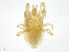  ( - BIOUG30769-H06)  @11 [ ] CreativeCommons - Attribution (2016) CBG Photography Group Centre for Biodiversity Genomics