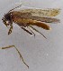  ( - KEN-MRC-00675)  @11 [ ] CreativeCommons - Attribution Share-Alike (2016) HG Wang Smithsonian Institution National Museum of Natural History