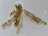  ( - KEN-MRC-00687)  @11 [ ] CreativeCommons - Attribution Share-Alike (2016) HG Wang Smithsonian Institution National Museum of Natural History