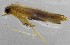  ( - KEN-MRC-00693)  @11 [ ] CreativeCommons - Attribution Share-Alike (2016) HG Wang Smithsonian Institution National Museum of Natural History