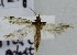  ( - KEN-MRC-00197)  @11 [ ] CreativeCommons - Attribution Share-Alike (2017) HG Wang Smithsonian Institution National Museum of Natural History