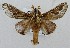  ( - KEN-MRC-00207)  @13 [ ] CreativeCommons - Attribution Share-Alike (2017) HG Wang Smithsonian Institution National Museum of Natural History