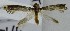  ( - KEN-MRC-00211)  @11 [ ] CreativeCommons - Attribution Share-Alike (2017) HG Wang Smithsonian Institution National Museum of Natural History