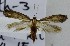  ( - KEN-MRC-00213)  @11 [ ] CreativeCommons - Attribution Share-Alike (2017) HG Wang Smithsonian Institution National Museum of Natural History