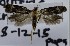  ( - KEN-MRC-00229)  @11 [ ] CreativeCommons - Attribution Share-Alike (2017) HG Wang Smithsonian Institution National Museum of Natural History
