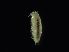 ( - BES15547.1)  @12 [ ] Unspecified (default): All Rights Reserved  Unspecified Unspecified