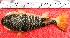  ( - TO09C)  @11 [ ] No Rights Reserved (2011) Dr.R.Rajaram Bharathidasan University,Department of Marine Science, Trichirappalli-620024
