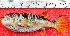  ( - TO09C)  @11 [ ] No Rights Reserved (2011) Dr.R.Rajaram Bharathidasan University,Department of Marine Science, Trichirappalli-620024