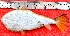  ( - TO09C)  @11 [ ] No Rights Reserved (2011) Dr.R.Rajaram Bharathidasan University,Department of Marine Science, Trichirappalli-620024