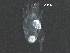  ( - BIOUG30562-E01)  @14 [ ] CreativeCommons - Attribution (2016) CBG Photography Group Centre for Biodiversity Genomics