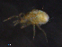  ( - BIOUG30831-E10)  @11 [ ] CreativeCommons - Attribution (2019) CBG Photography Group Centre for Biodiversity Genomics
