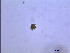  ( - AL1V)  @12 [ ] Unspecified (default): All Rights Reserved  Unspecified Unspecified