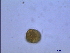  ( - AL1V)  @12 [ ] Unspecified (default): All Rights Reserved  Unspecified Unspecified