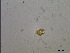  ( - CCMP124)  @12 [ ] Unspecified (default): All Rights Reserved  Unspecified Unspecified
