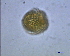  ( - CCMP1720)  @13 [ ] Unspecified (default): All Rights Reserved  Unspecified Unspecified