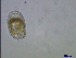  ( - CCMP687)  @11 [ ] Unspecified (default): All Rights Reserved  Unspecified Unspecified